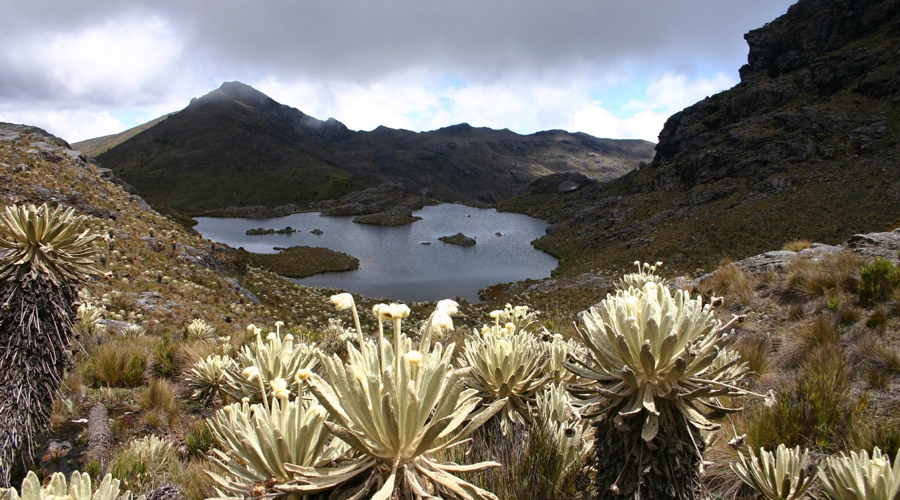 Colombian Mining Association establishes sustainable mining standard