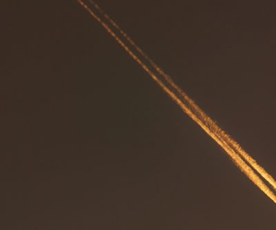 Muppet drops gold price to 6-week low