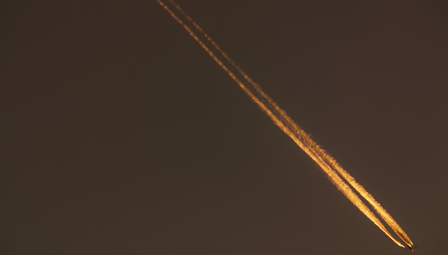 Muppet drops gold price to 6-week low