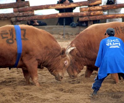4 charts that say this time the copper price surge could last