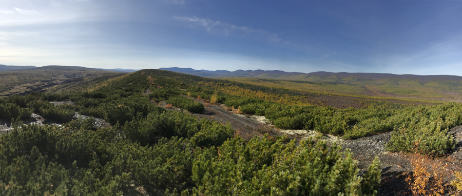 The Polyus power play for gold mining's top tier