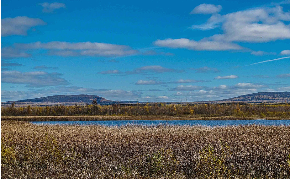 Shares in Quebec junior surge on Michigan reserves update