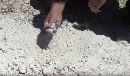 This is the breakthrough company of Mines & Money 2017