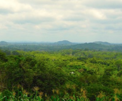 Roscan drills 46.5 metres of 6.15 g/t gold, expands target in Mali