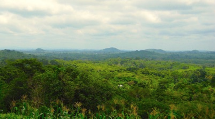 Roscan drills 46.5 metres of 6.15 g/t gold, expands target in Mali