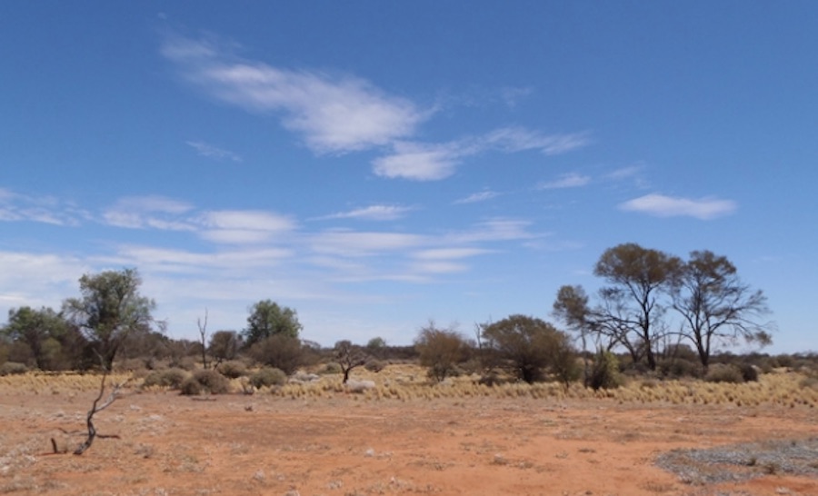 Cameco handed court victory over WA uranium prospect