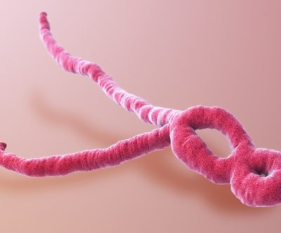 Cobalt price: Congo ebola outbreak compounds acute supply fears