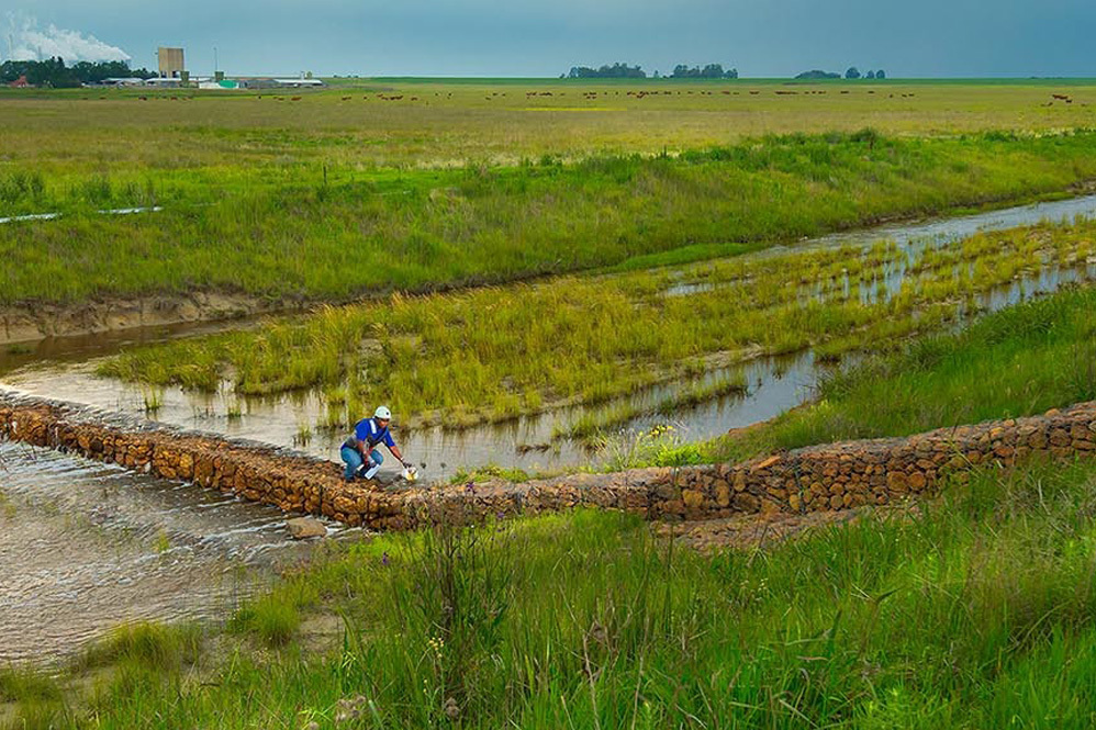 Exxaro widens critical metals search to greenfield assets