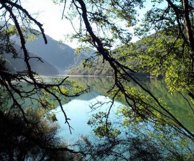 EXPLAINER-U.N. nature summit puts industry on alert to disclose more