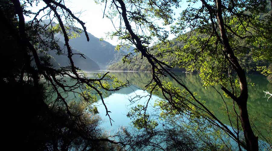 EXPLAINER-U.N. nature summit puts industry on alert to disclose more