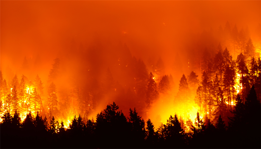 Rio Tinto’s Diavik donates $184,000 to United Way NWT’s emergency wildfire efforts in Canada