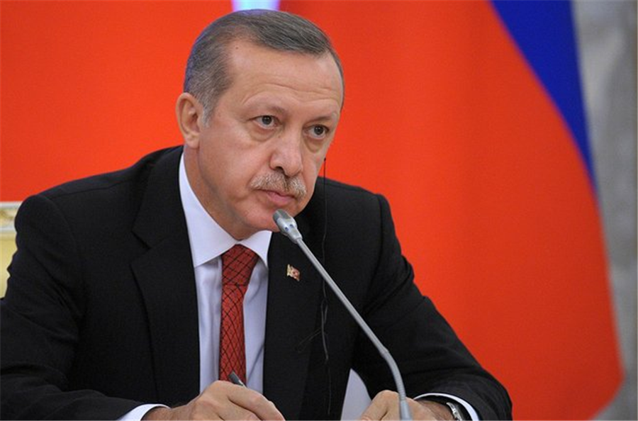 Turkey seeks Chinese partnership on rare earth elements for EVs
