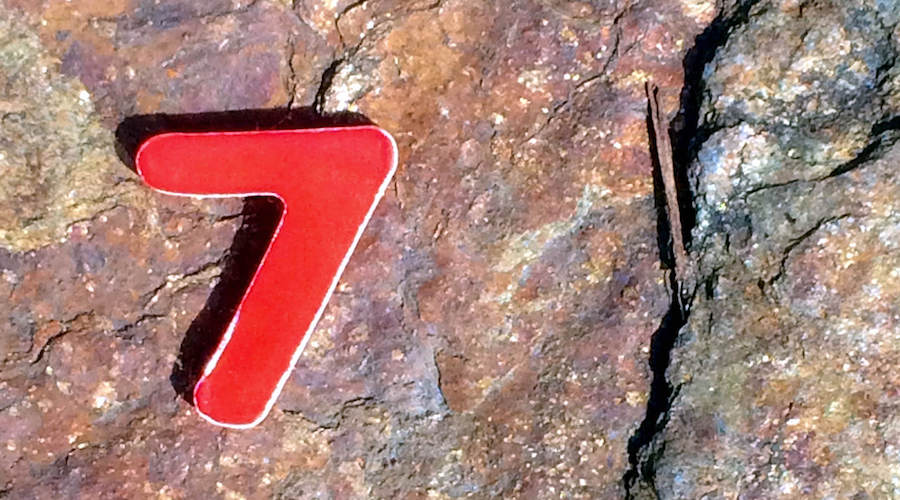 Seven new powerhouses to drive mineral demand: EMR exec