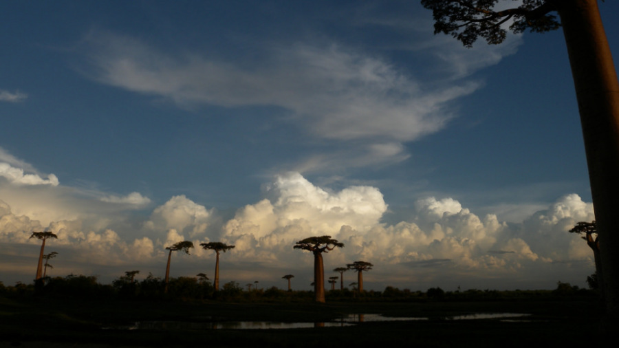 Graphite mine in Madagascar achieves nameplate production