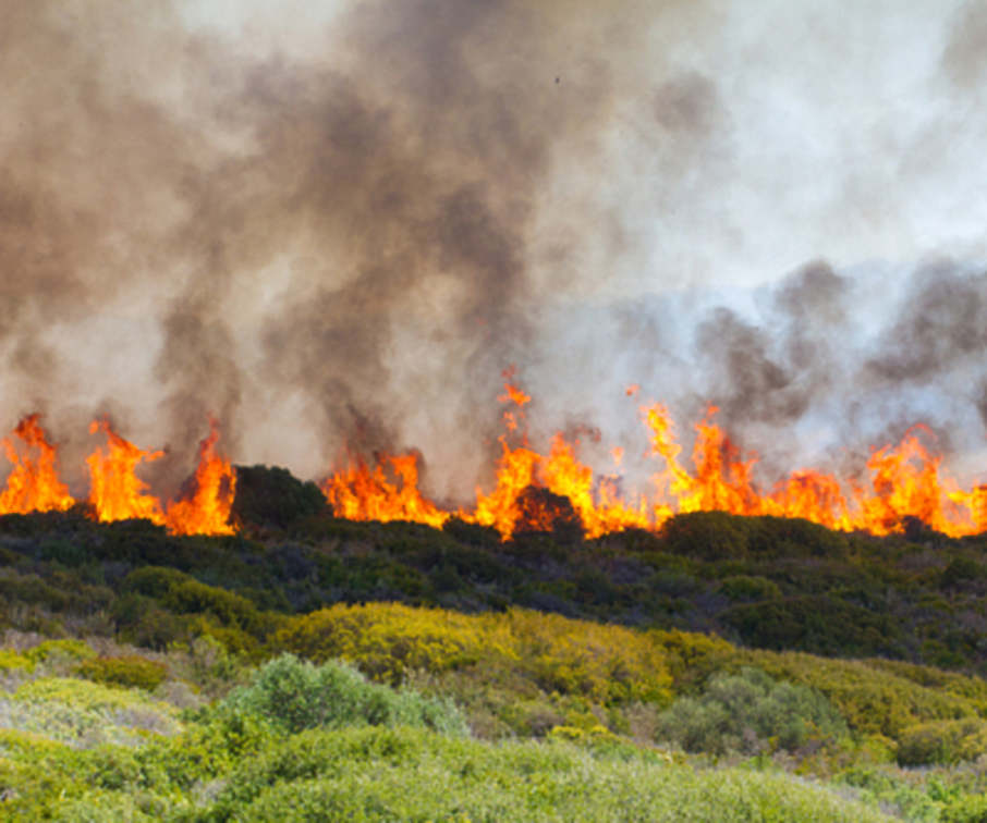 Canada’s Teck resumes lead smelting at British Columbia facility
