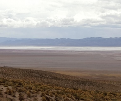 Canada's export agency expresses interest in Lake Resources' Kachi lithium project