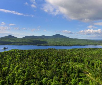 Wolfden Resources releases Pickett Mountain PEA