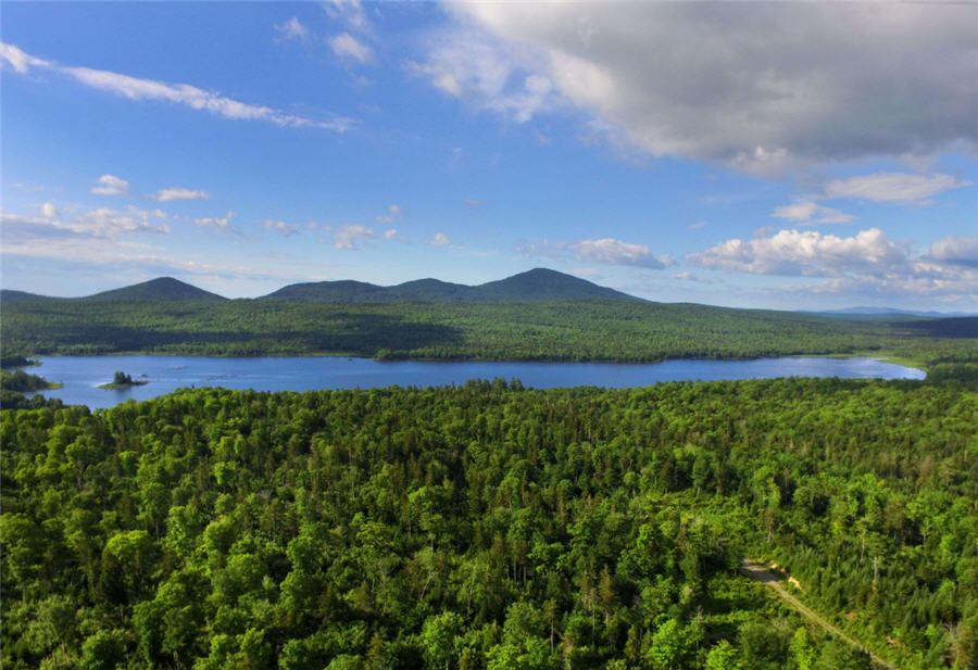 Wolfden Resources releases Pickett Mountain PEA