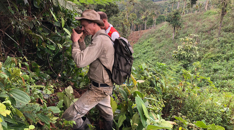 Aurania discovers high grade silver-zinc-lead at Ecuador gold project