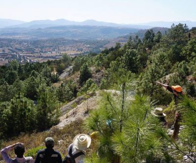 Almaden case headed to Mexico’s Supreme Court