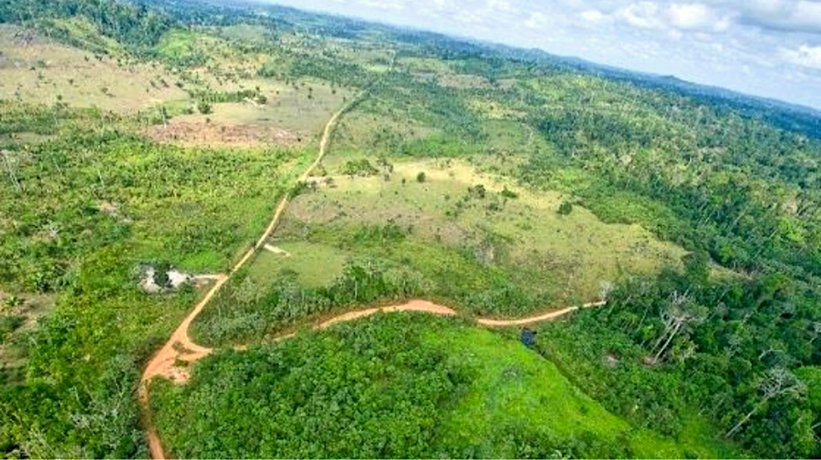 Brazilian general with mining ties expected to solve industry-indigenous disputes