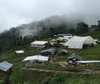 Investor Cornerstone looks to replace SolGold's board