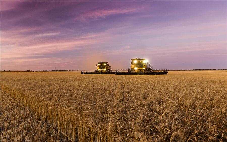 Bunge is said to near deal to buy Glencore’s Viterra