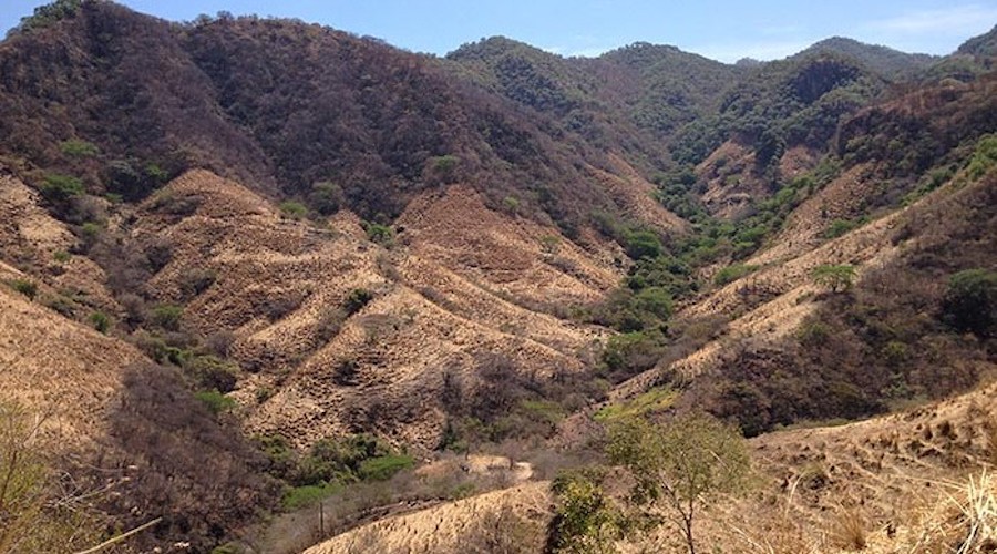 ePower Metals wants to acquire historic Mexican gold mine