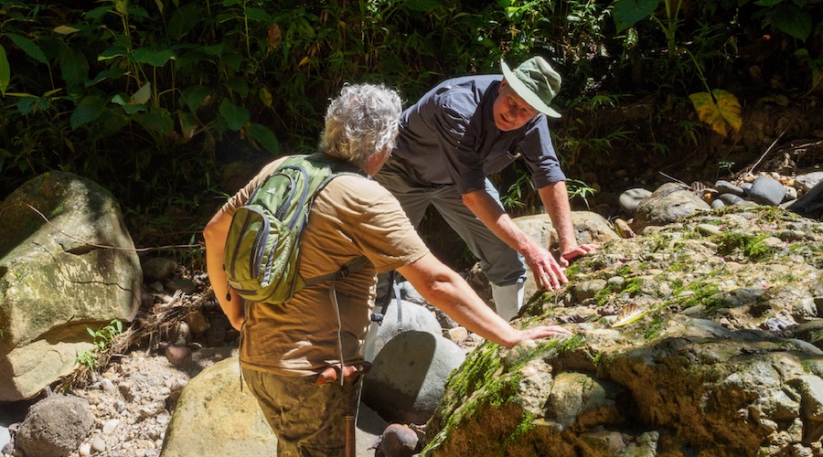 Aurania finds high-grade copper and silver at the Lost Cities — Cutucu project in Ecuador