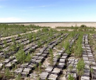 Osisko Metals hires BBA for Pine Point greenhouse gas estimate