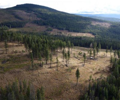 Westhaven says new gold zone at Shovelnose indicates ‘large and robust’ system