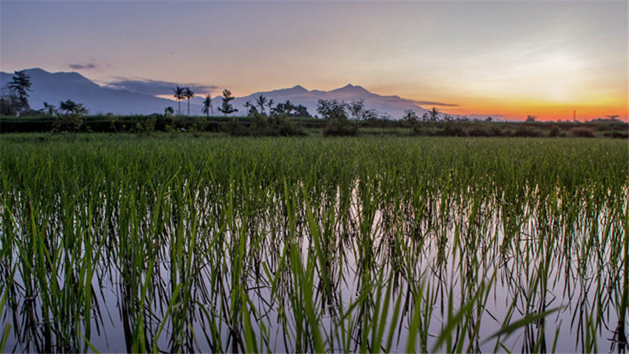 Rio Tinto to join World Bank’s green mining program