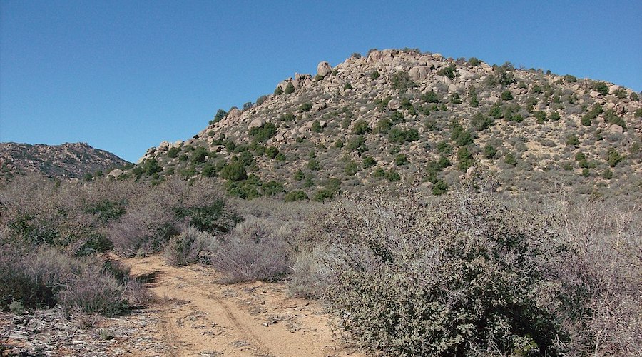 Dunnedin acquires copper-molybdenum-silver project in Arizona