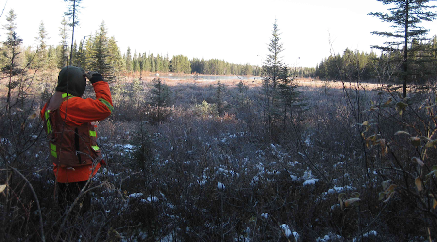 Transition Metals optimistic after running MT survey at platinum-palladium project in Ontario