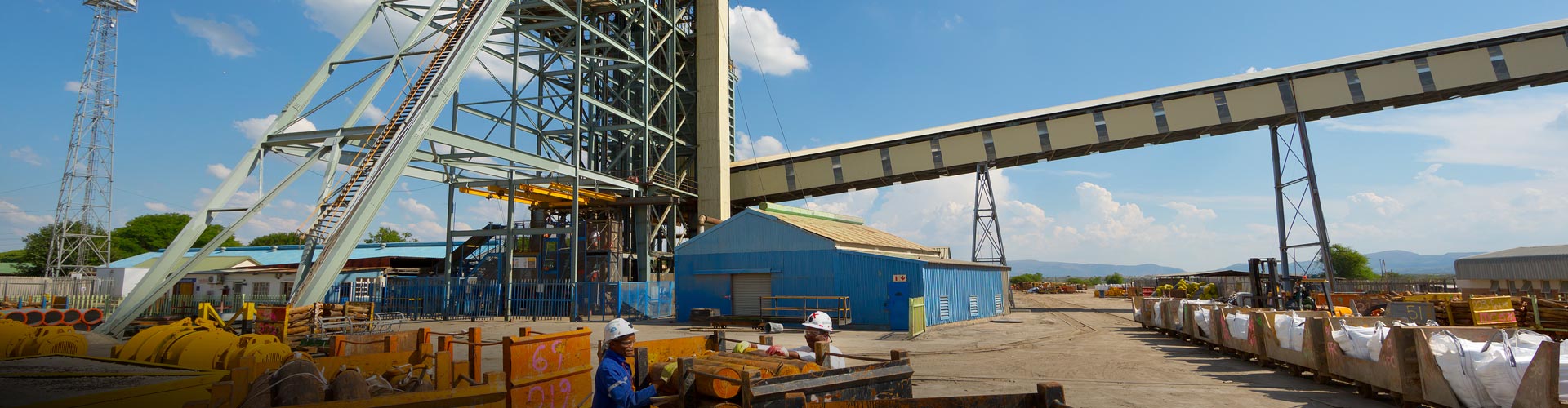 Sibanye says platinum mine shaft shut until official probe