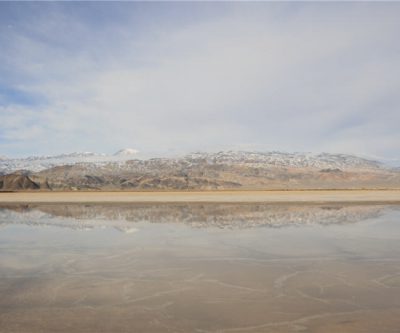 Lithium producer Albemarle expects recovery in sales as results top estimates