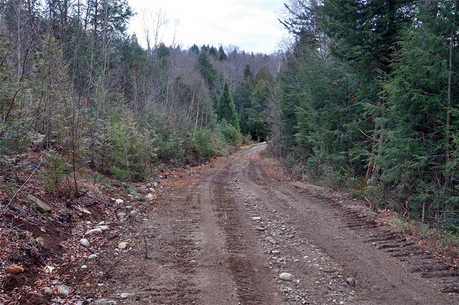 Lomiko Metals shares take off on new drill results