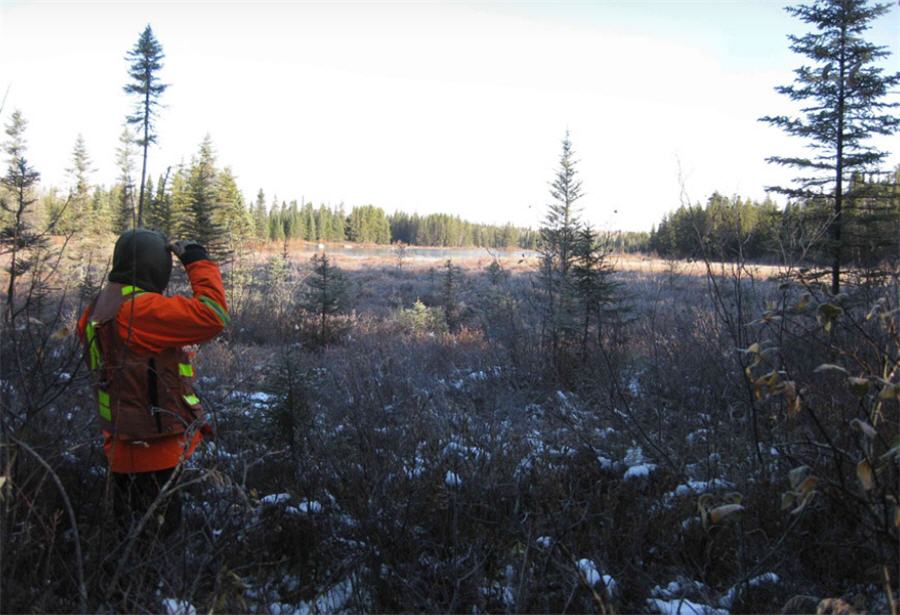 Sunday Lake returns high grade for Impala, Transition