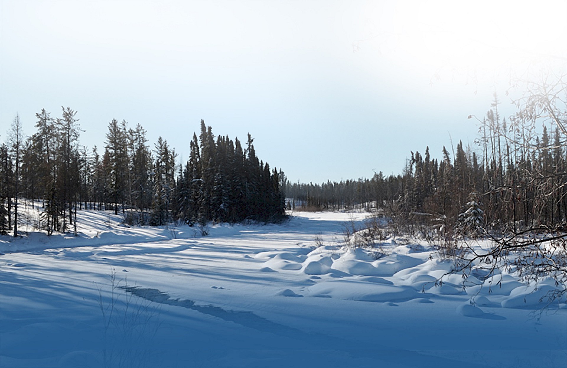 Fission 3.0 samples 13.9%, 2.3 g/t at Beaver River