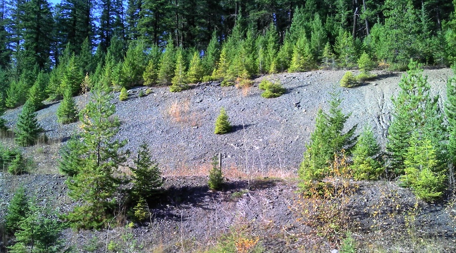 Inomin shares up on intercepts at Beaver nickel-cobalt project in British Columbia 