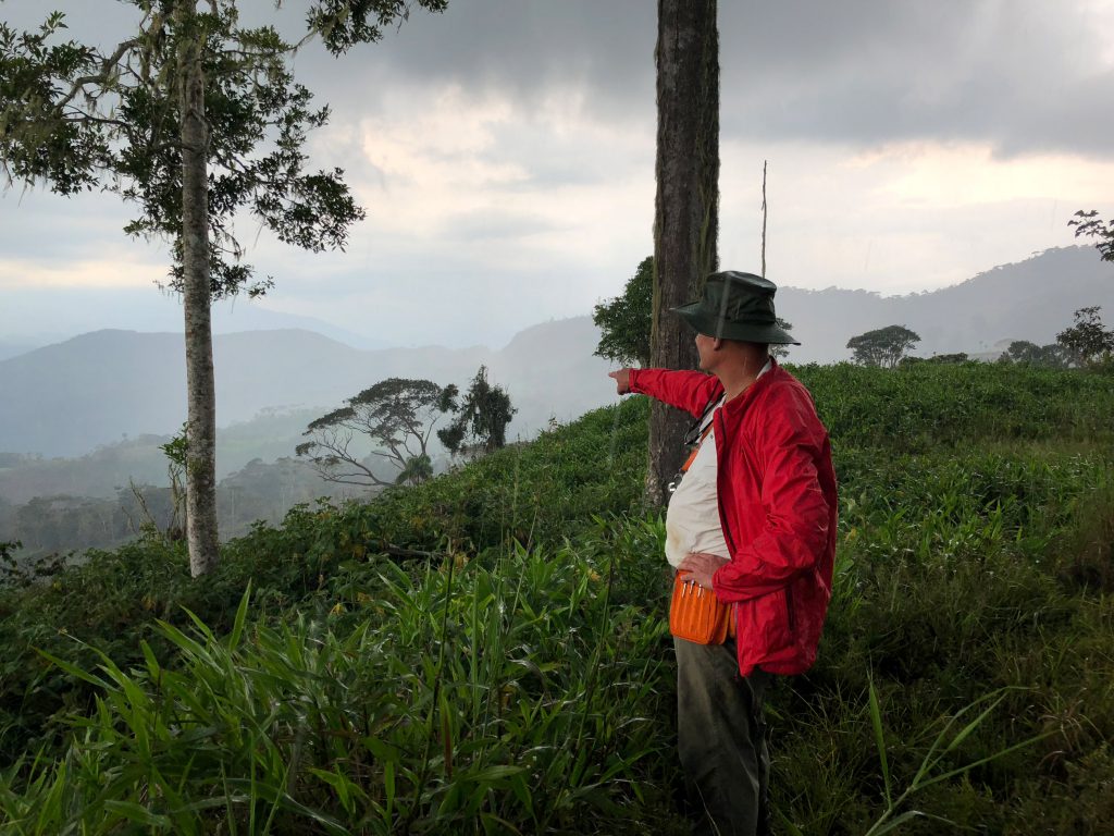 Aurania finds evidence of highly sought-after gold lost city in Ecuador
