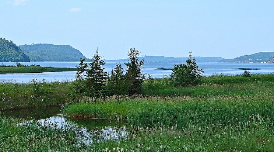 Transition expands its exposure to palladium, other PGM in Ontario