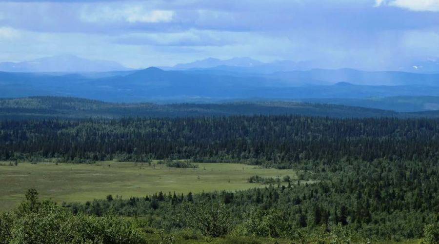 Rutile identified as the carrier of vanadium at Eurobattery Minerals’ project