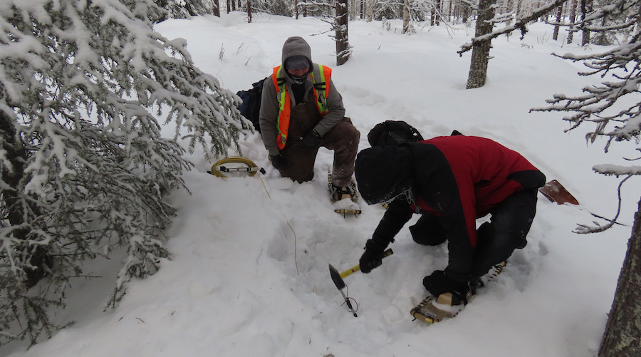 Palladium One’s 20,000-hectare Finland reservation gets permit