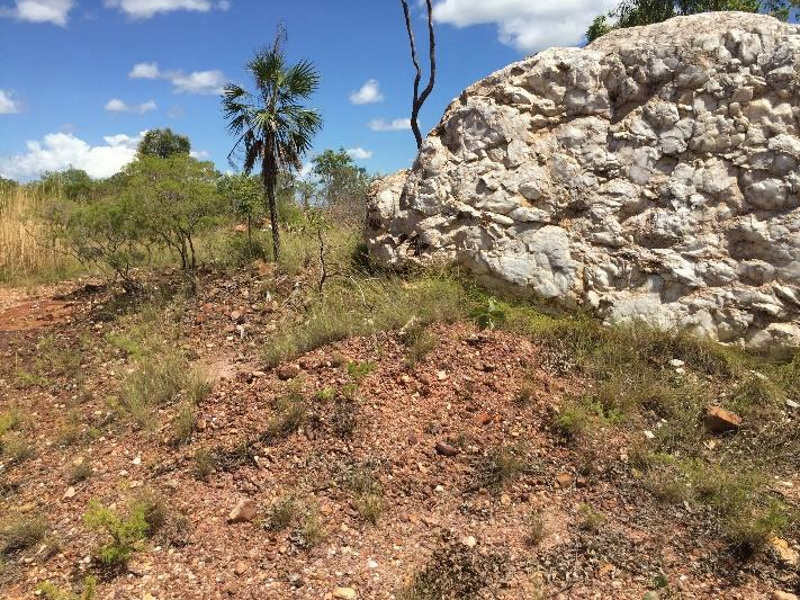 Australia’s Core Lithium jumps most since Jan 2021 on maiden annual profit