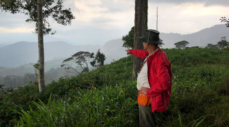 Aurania to expand from Ecuador to Peru