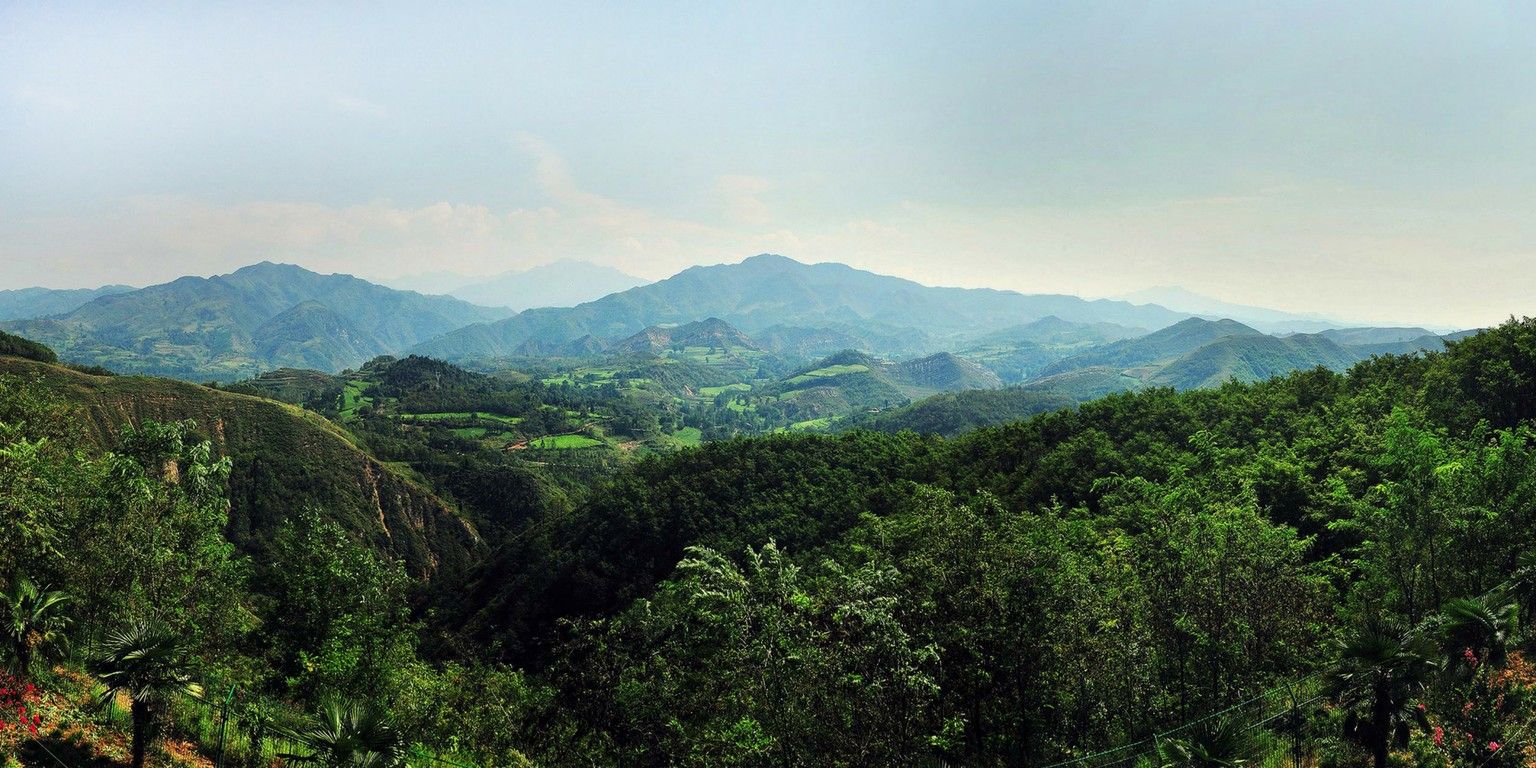 Silvercorp amends Guyana merger terms with improved offer