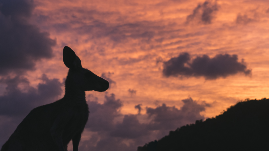 In the coming renewable energy boom, Australia is once again the “lucky country”