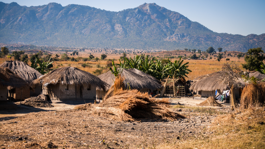 Malawi temporarily bans all mineral exports to revamp rules
