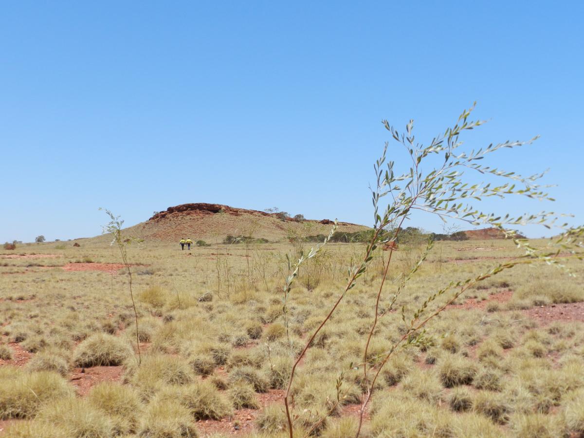 Fortescue pays royalties to Aboriginal group, a year late